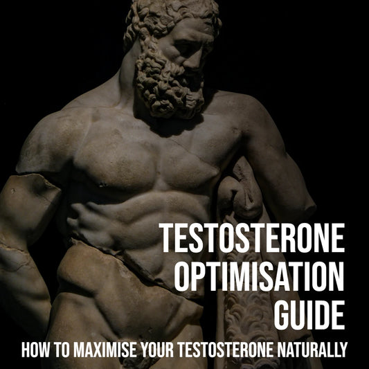 Testosterone Optimisation Guide