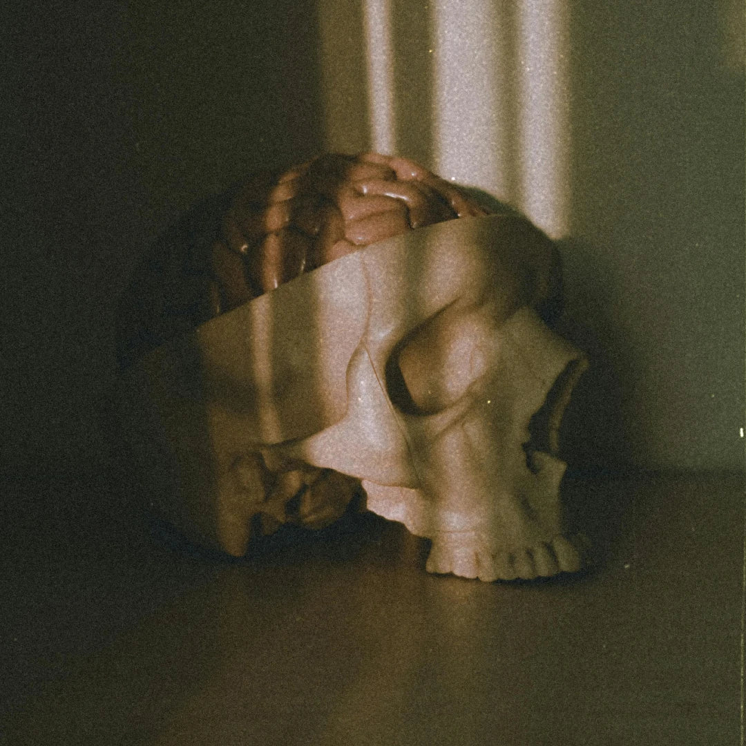 Brain