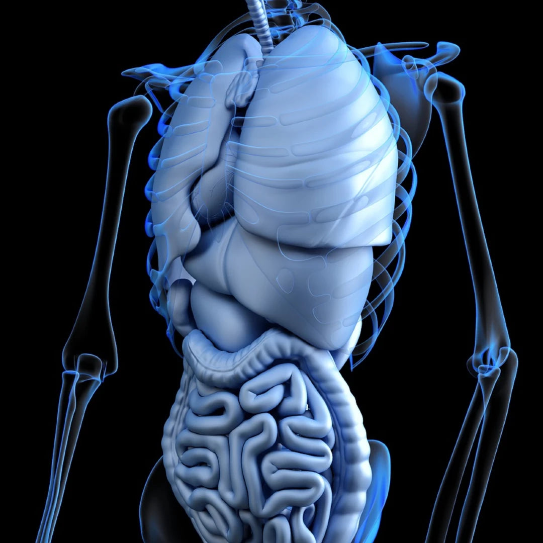 Activating the body's detox pathways
