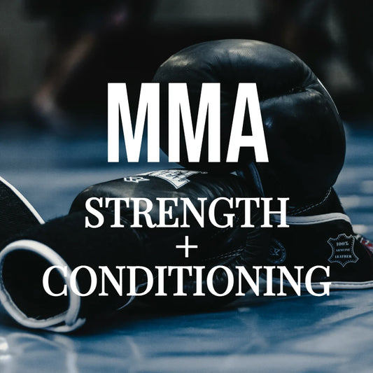 Martial Arts Strength and Conditioning Guide (Pre-Order)
