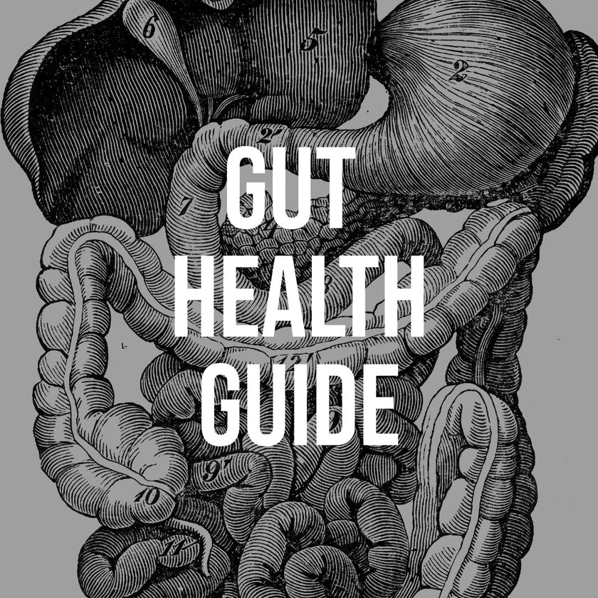 Gut Health Guide